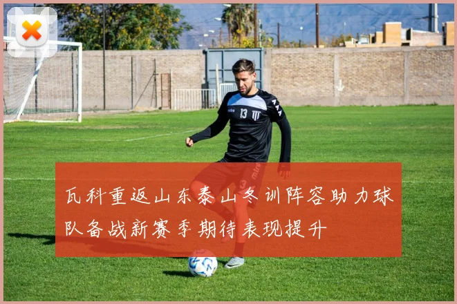 瓦科重返山东泰山冬训阵容助力球队备战新赛季期待表现提升
